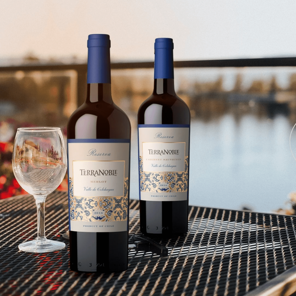 Terranoble Reserva Merlot 75cl 2019